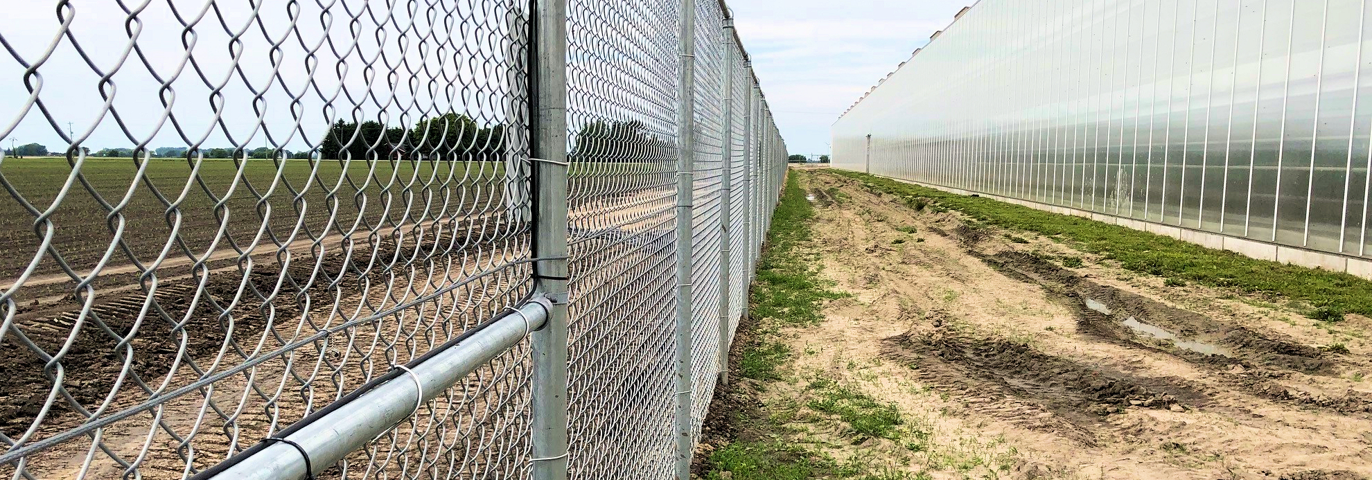 Cannabis Grow Facility
