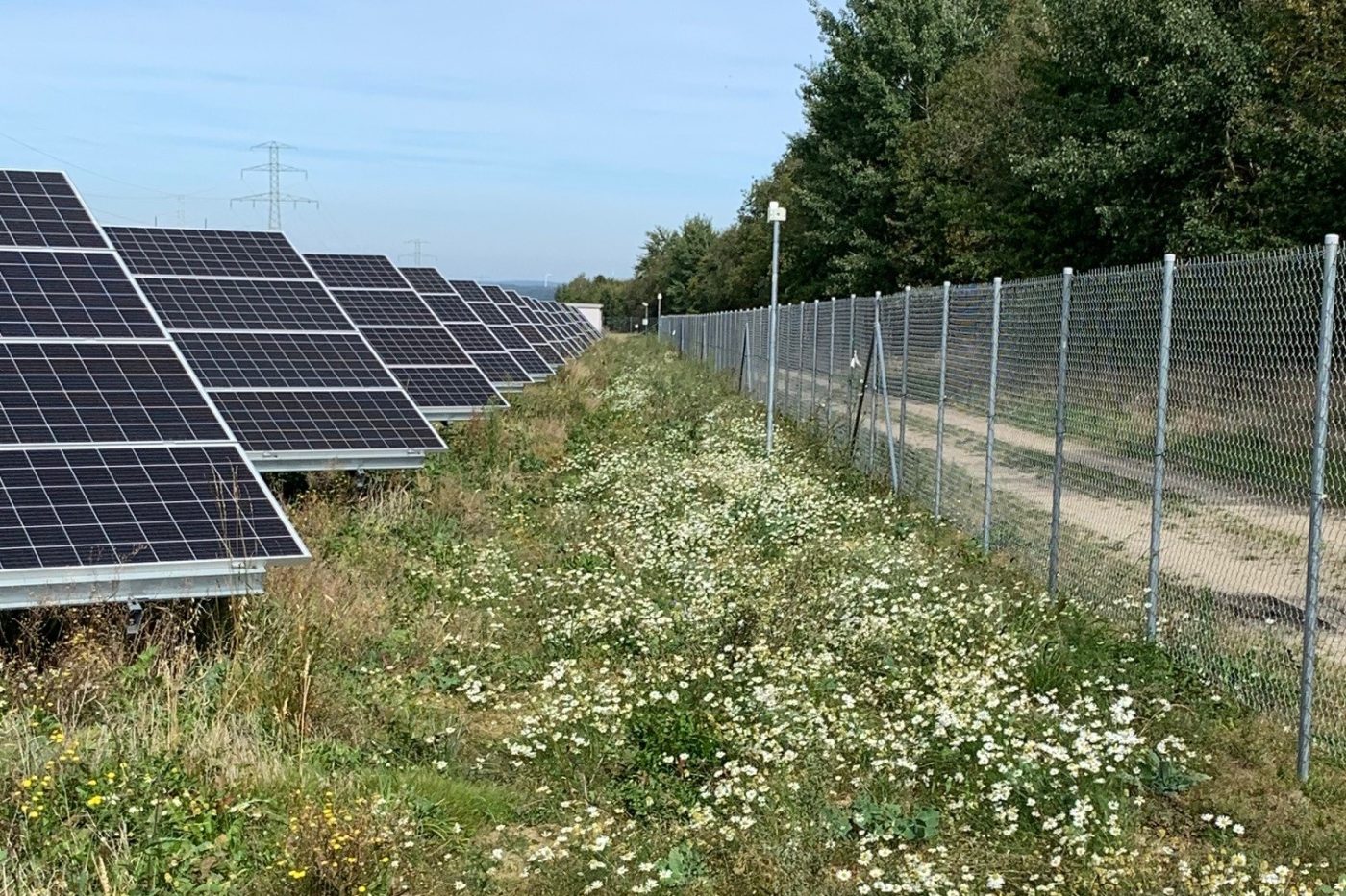 Chain link perimeter fence with an IRONCLAD fence sensor cable running alongside rows of solar panels at a solar farm in Poland.